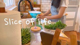 Slice of life | fresh veggies from garden, cooking & making wall decor