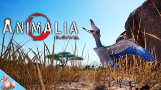 Flying and Crashing with the Shoebill in Animalia Survival.