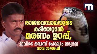 രാജവെമ്പാലയുടെ കടിയേറ്റാൽ മരണം ഉറപ്പാണ്, ഇവിടെ മരുന്ന് പോലും ലഭ്യമല്ല- വാവ സുരേഷ് | Snake Bite