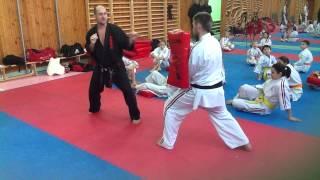 KOSHIKI KARATE - Mawashi-geri by Shihan Oleg Eston (Russia)