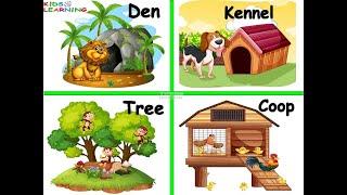 Animals and their homes | Animals home | Home of animals | Animal homes | Animal shelter for kids