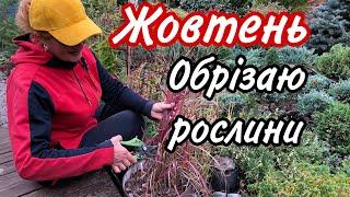 ЦІ Рослини ОБРІЗАЮ в ЖОВТНІ.Роботи восени в саду.