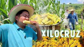 ¿Qué es el XILOCRUZ? Elotes, elopozole y un RITUAL ANCESTRAL | Así lo vivimos... 