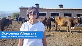 Осмонова Айнагуль, «Буудак» дыйкан чарбасынын башчысы. Чүй областы, Туз айылы.