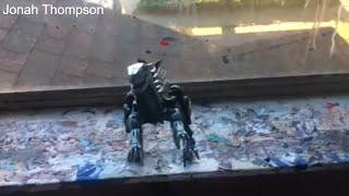 transformers the last knight dinobot slash review