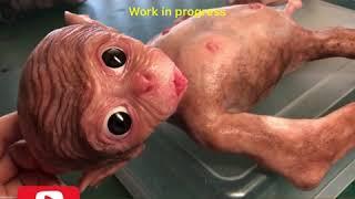 Silicone baby monkey by Nadine Dolotova (work in progress)