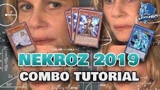 Nekroz 2019 (November) -  Yu-Gi-Oh! Combo Tutorial