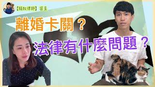 離婚卡關？ | 從柯以柔離婚卡關，談談法律上的離婚規定有什麼問題 | 貓奴律師 | 生活法律小學堂