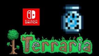 Terraria 1.4 Nintendo Switch Blizzard In  A Bottle Seed!!