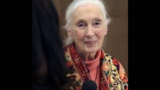 #LifeBeats: Changing the World with Dr. Jane Goodall