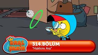 Kral Şakir 314. Bölüm - Hakkını Ara  YENİ BÖLÜM