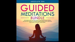 Soothing Sounds | Guided Meditations Audiobook