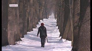 Подарок для алматинцев: рощу Баума планируют благоустроить (26.02.18)