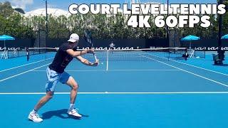 Denis Shapovalov Satisfying Court Level Practice | 2022 (4K 60FPS)