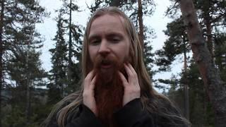 5 tips for a better beard