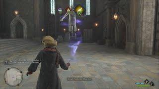 NEW! Hogwarts Legacy - Training Dummy Combo!