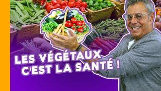 Le Régime Végétarien : Bon Pour la Santé ? Pourquoi Manger Moins de Viande ?