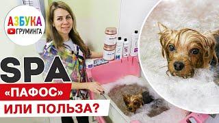 SPA для собак - польза или хороший понт груминг-салона? На примере груминга йорка