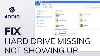 [6 Ways] How to Fix D Drive Missing in Windows 10/11 | D/E Drive Not Showing Up