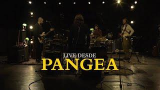 Los Mesoneros - Live Desde Pangea