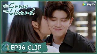 【Miss Crow with Mr. Lizard】EP36 Clip | Finally! His heart has been repaired at last! | 乌鸦小姐与蜥蜴先生