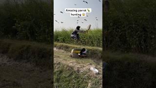 Amazing parrot  hunting  #birds #birdhunting #hunting #shorts #viralshorts #youtubeshorts