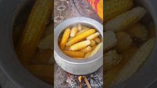 Baby corn #youtubeshorts #youtube #viralvideo # shortvideo #viral #shorts # #short #shortsvideo