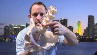 5 Hints You're Dealing With Sciatica Pain - info from Florida Pain Network