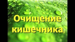 Лучший способ очищения кишечника - при помощи глины.