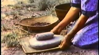 Pine Nuts the Movie (Paiute, Shoshone & Washo pine nut harvesting and preparation)