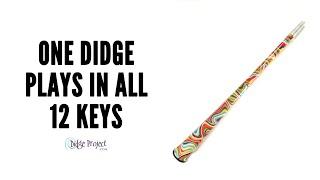 The Affordable Chromatic Slide Didgeridoo that Plays in All 12 Keys