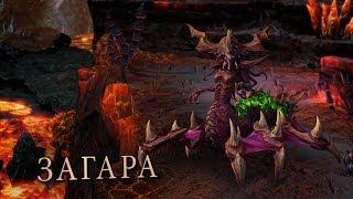 Heroes of the Storm — Загара