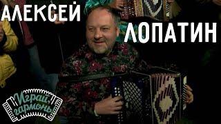 Фестивальная | Алексей Лопатин (г. Кемерово) | Играй, гармонь!