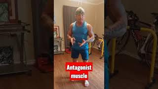 Antagonist muscles. Superset #biceps##triceps.        Try this and watch my  videos and subscribe!