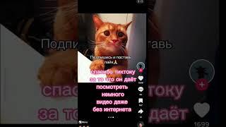 СПАСИБО ТИКТОКУ #tiktok #тикток #видео #спасибо #shorts