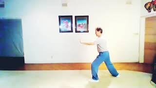 108 Yang Style Tai Chi Chuan Long Form (Back View)