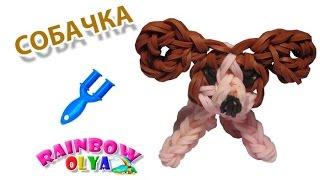 Dog charm from rubber bands on a slingshot without a loom.