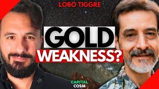  Will GOLD & SILVER Prices Rebound? | Lobo Tiggre