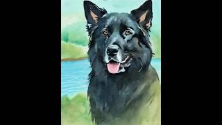 Doggie daycare and dog boarding at Dogstown University in Deerfield Beach Florida