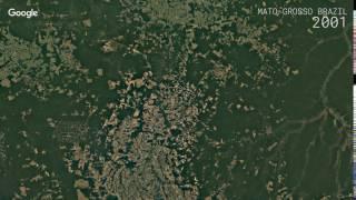 Google Timelapse: Mato Grosso, Brazil