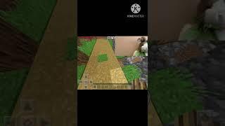 If I touch grass the video ends….. #minecraftshorts  #shorts #grass #donttouchme #ThatGamer #rabbit