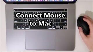 How to Connect Bluetooth Mouse to MacBook