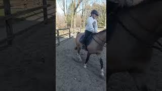 Cjay  #horse #riding
