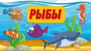 РЫБЫ ДЛЯ ДЕТЕЙ | Речные рыбы. Морские рыбы. Аквариумные рыбы | Детям про рыб