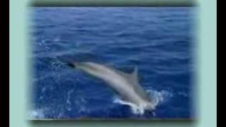 YANNI - Midnight Hymn (Beauty water)