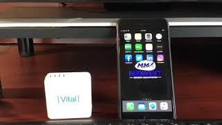 Vital Mobile Demo