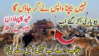 Eid Day 1 Northern Bypass Mandi Karachi Latest Rates & Bargaining 7 Jun 2025 | Bakra Eid Season 2025
