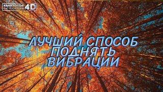 ЛУЧШИЙ СПОСОБ ПОДНЯТЬ ВИБРАЦИИ ЭТОЙ ОСЕНЬЮ/ THE BEST WAY TO RAISED YOUR VIBRATIONS THIS FALL