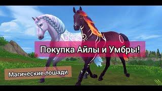 ПОКУПКА МАГИЧЕСКОГО АНДАЛУЗА/ StarStableOnline