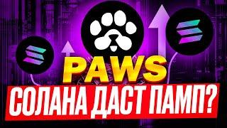 ️ PAWS 🟢 СРОЧНО! 🟢 SOLANA ДАСТ ПАМП PAWS! ЭТО БУДЕТ ОДИН ИЗ МОЩНЕЙШИХ ЛИСТИНГОВ ИЛИ ЭПИЧНЫЙ ПРОВАЛ!